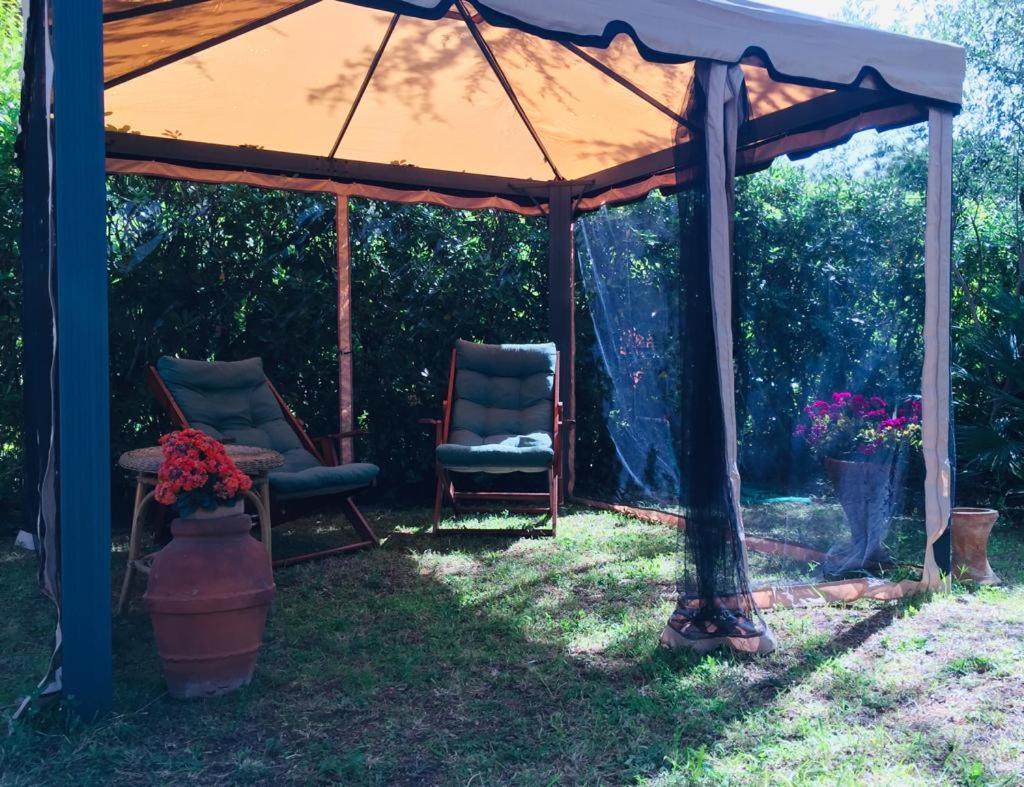 Ferienwohnung Cedro Del Libano Castiglioncello Exterior foto