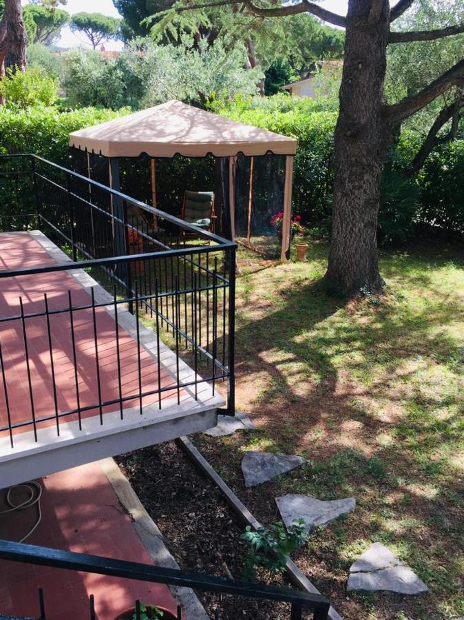 Ferienwohnung Cedro Del Libano Castiglioncello Exterior foto